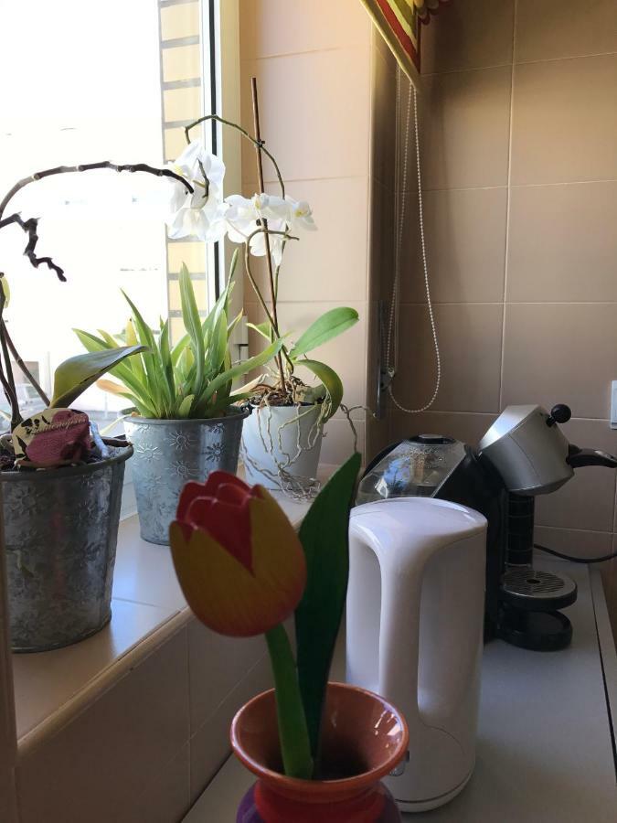 Varandas Da Sandia Vila Praia de Ancora Ngoại thất bức ảnh